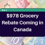 $978 Grocery Rebate Coming in Canada – Know Eligibility & Payment Dates